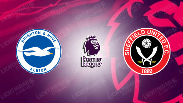 Video highlights Brighton vs Sheffield United, vòng 12 Ngoại Hạng Anh