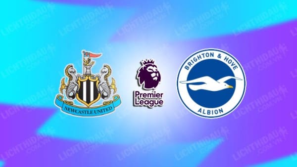 Video kết quả Newcastle vs Brighton, vòng 37 Ngoại hạng Anh