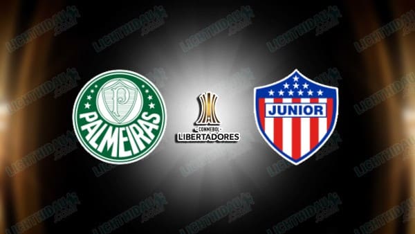 Link xem Palmeiras vs Junior, 05h00 ngày 29/5, bảng F Copa Libertadores