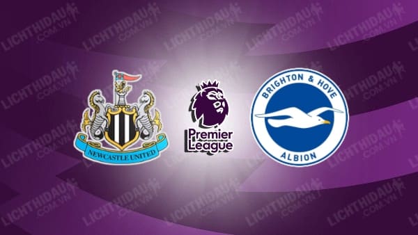 Video kết quả Newcastle vs Brighton, vòng 28 Ngoại hạng Anh