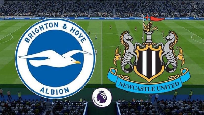 Video kết quả Brighton vs Newcastle, vòng 11 Ngoại hạng Anh