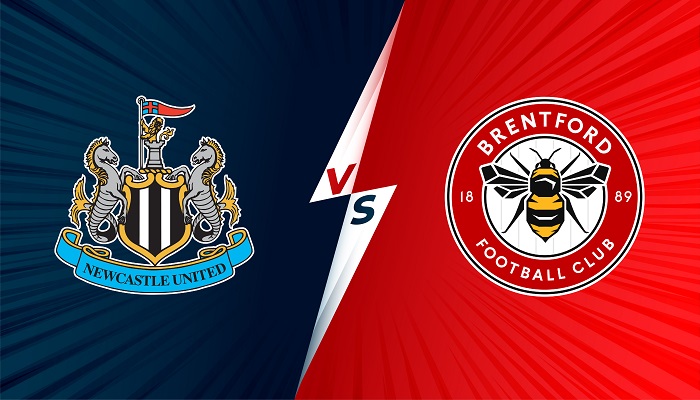 Video kết quả Newcastle vs Brentford, vòng 12 Ngoại hạng Anh