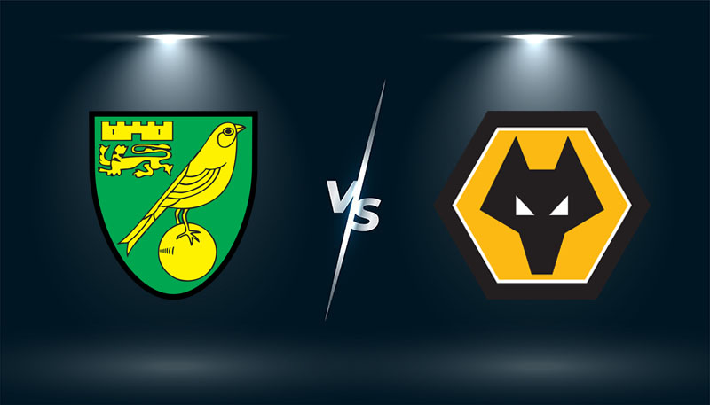 Video kết quả Norwich vs Wolves, vòng 13 Ngoại hạng Anh