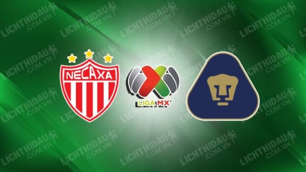 Link xem Pumas UNAM vs Necaxa, 01h00 ngày 13/1, vòng 1 VĐQG Mexico