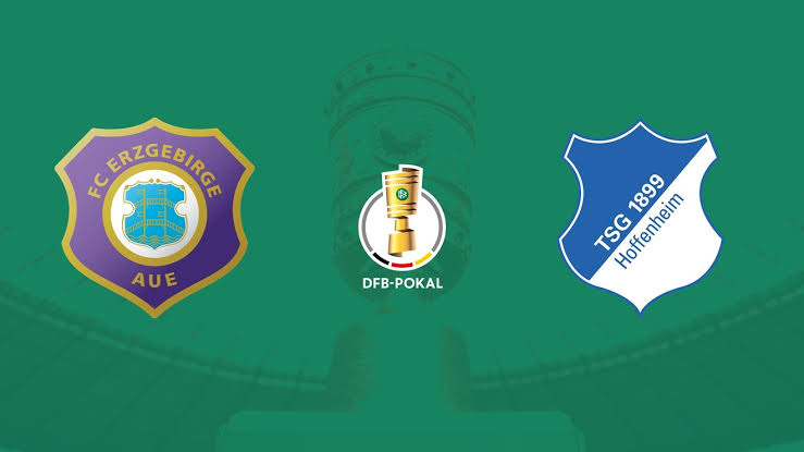 Link xem Erzgebirge Aue vs Hoffenheim, 20h30 ngày 22/8, vòng 1 Cup QG Đức