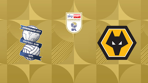 Link xem Birmingham vs Wolves, 18h00 ngày 6/9, vòng 5 Hạng Nhất Anh